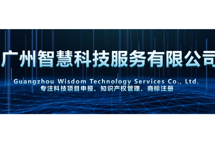 广州智慧科技服务